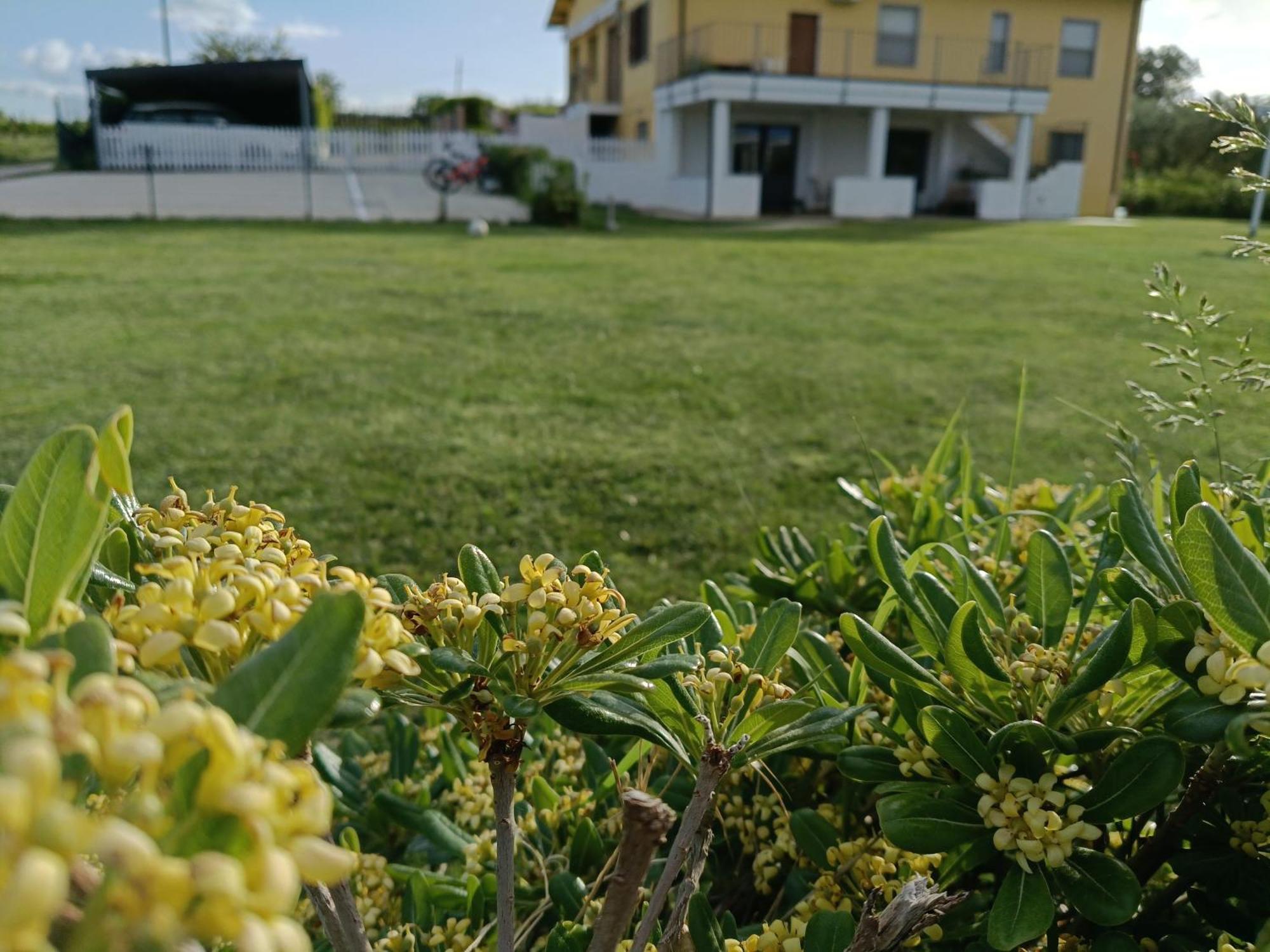 Natura E Mente Camere E Relax Vasto Exterior photo